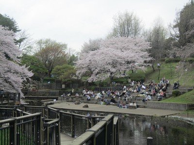 🌳 키시네 공원 (기시네코엔) 이미지 6